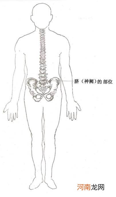 人体丹田在哪里 丹田在哪里