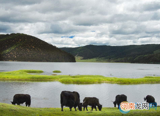 五月份适合去哪里旅游四川 五月份适合去哪里旅游