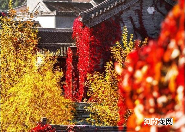 上海秋天哪里好玩 秋天哪里好玩
