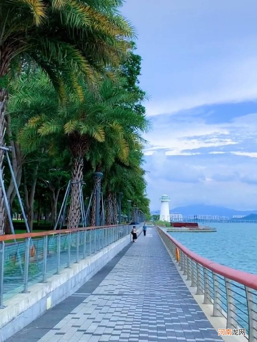 深圳湾公园在哪里看日出 深圳湾公园在哪里