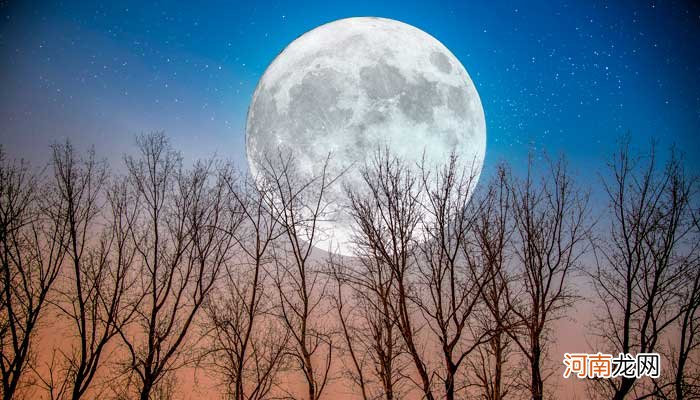 网络用语白月光是什么意思 白月光的意思