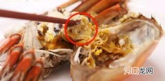 清蒸螃蟹哪里不能吃 螃蟹哪里不能吃