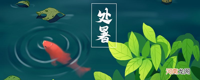 三伏天后是什么节气 过了三伏天是什么节气