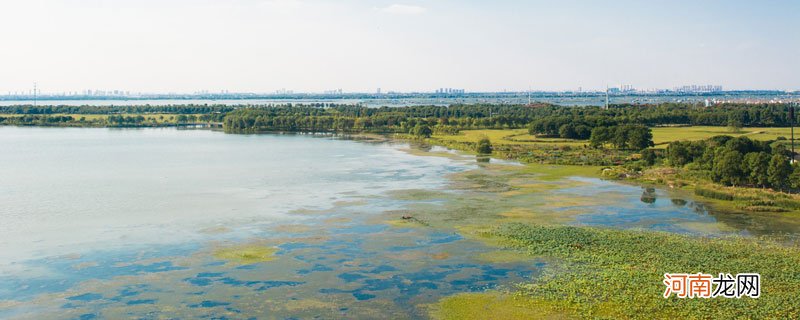 阳澄湖在哪里哪个省的 阳澄湖在什么地方