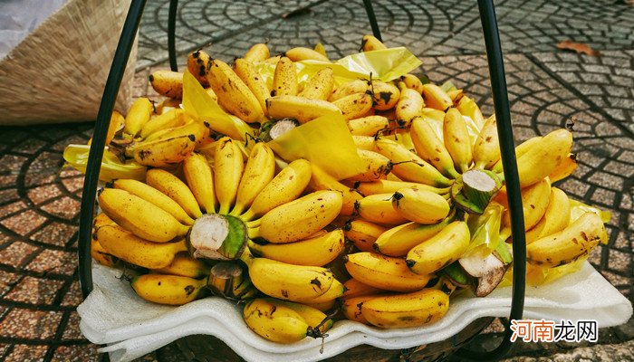 香蕉与芭蕉的区别 香蕉与芭蕉的区别在什么地方