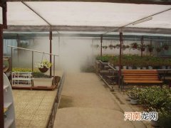 黔江种植大棚喷雾加湿系统在哪里 黔江种植大棚喷雾加湿系统在哪