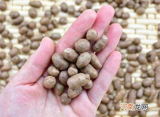 山药豆怎么去皮？山药豆最有营养的3种吃法