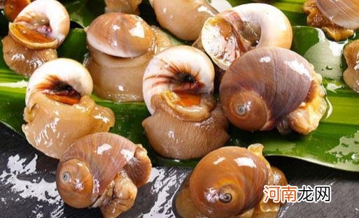 香螺煮多长时间没有寄生虫 香螺的哪些部位不能吃
