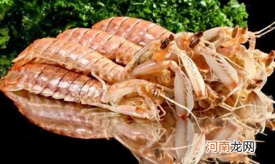 活的皮皮虾可以直接冷冻保存吗 活的皮皮虾怎么保存才新鲜