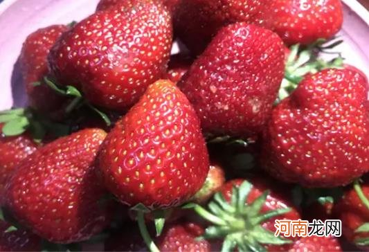 草莓有白色的霜吃了会怎么样？草莓表面有白霜用水烫下可以吃吗