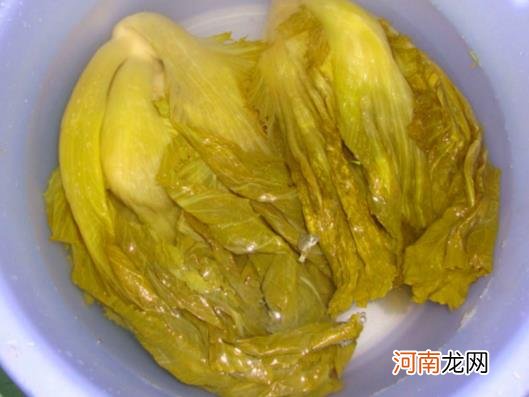 酸菜和泡菜是一个东西吗？腌酸菜可以放白醋吗