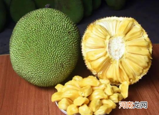 菠萝蜜没熟切开了怎么办？菠萝蜜为什么要抹白灰