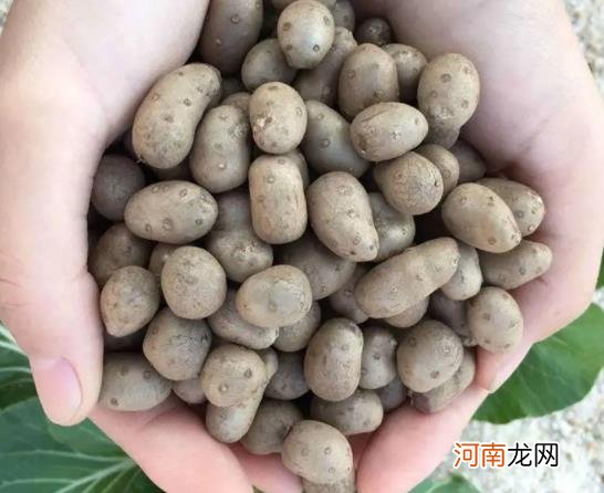 山药豆去皮后发红可以吃吗？山药豆带皮吃血糖会升高吗