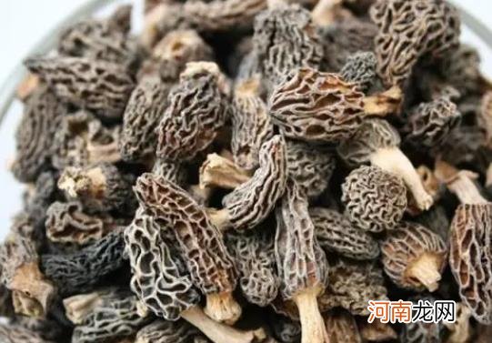 羊肚菌可以泡酒喝吗？羊肚菌怎么保存好？