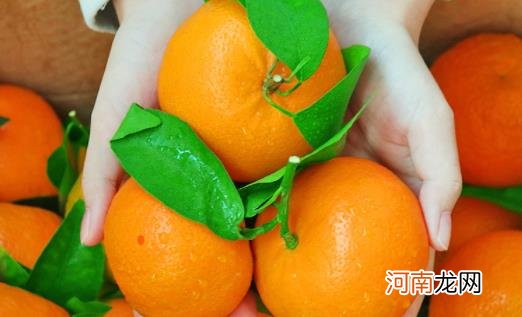 为什么砂糖橘要打蜡 砂糖橘打蜡吃了有毒吗