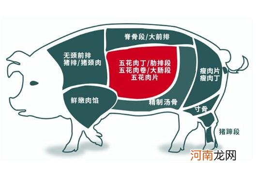 偶尔吃一次五花肉会不会胖？上五花肉和下五花肉在猪身上示意图片