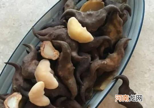 菱角煮到怎么样算熟了？菱角能不能生吃