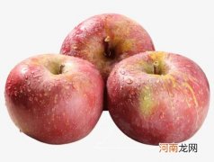 丑苹果就是野生苹果吗？哪里的丑苹果最正宗