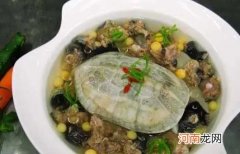 孕妇可以喝乌龟汤吗？乌龟有哪些小偏方？