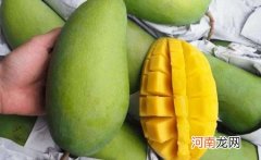 青芒果是热性还是凉性水果 青芒果里面有黑色的丝能吃吗