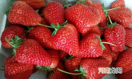 草莓吃不完可以做什么 新鲜草莓可以加热吃吗