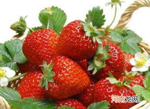 吃草莓会导致得出血热真的假的？草莓烂掉一点还能吃吗
