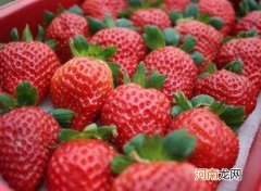 吃草莓会导致得出血热真的假的？草莓烂掉一点还能吃吗