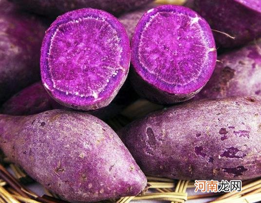 哪种紫薯不能吃？紫薯水煮多少分钟能熟