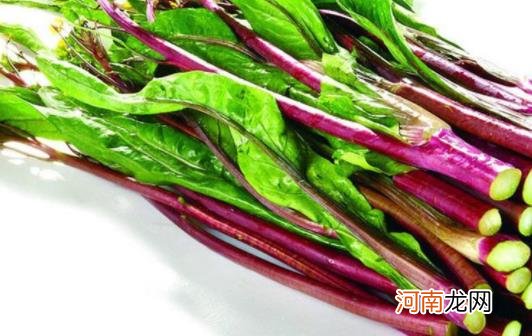 炒红菜苔前要焯水吗 白菜苔和红菜苔哪个好吃