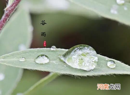 2022年谷雨是几月几日几时几秒？2022年谷雨节气天气有什么变化