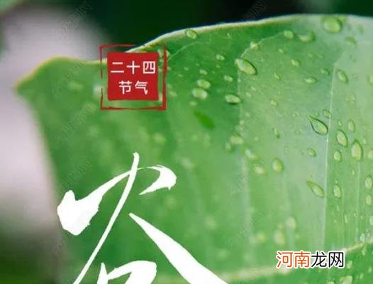 2022年谷雨是几月几日几时几秒？2022年谷雨节气天气有什么变化