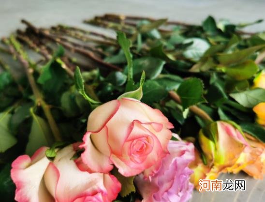 醒花要醒多少时间？醒花用温水还是凉水