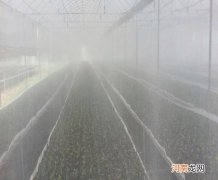 合肥市喷雾加湿系统厂家 合肥市喷雾加湿系统