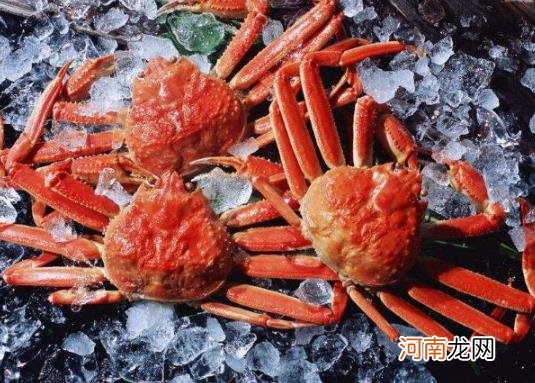 吃螃蟹过敏有什么症状？蒸螃蟹要解开绳子吗