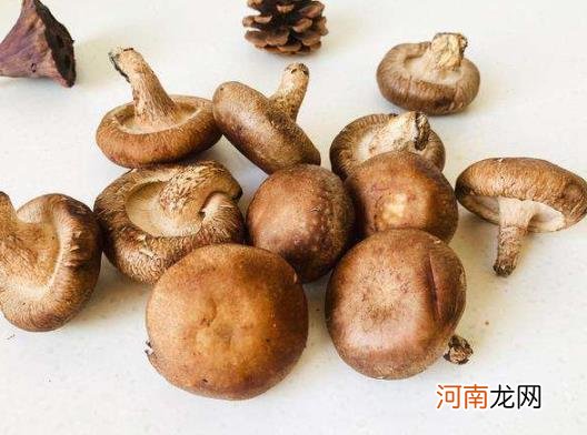 怎样泡发香菇可以保持原味？香菇是炒的香还是炖的香