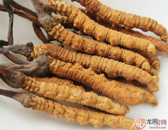 孩子可以吃冬虫夏草吗，几岁孩子能吃冬虫夏草？