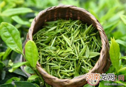 红茶和绿茶有什么好处，红茶和绿茶一般是用什么茶树