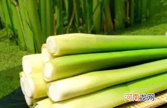 吃茭白会上火吗？茭白属于寒性食物吗？