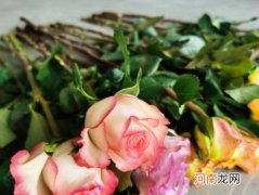 醒花要加多少滴84？醒花加84是什么原理