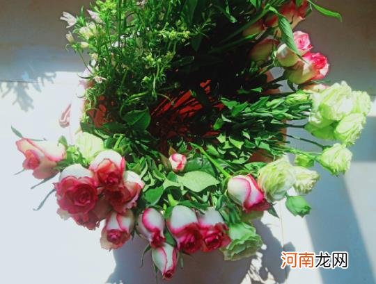 醒花后怎么养护？醒花要多长时间