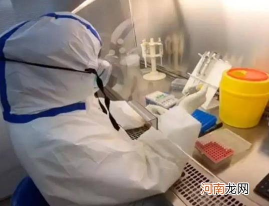 核酸检测48小时过期了紫码会变吗？没去过疫区健康码变黄怎么办