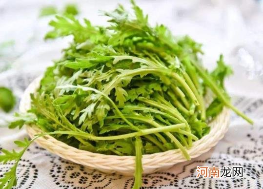 茼蒿生长的适宜温度是怎样的？如何种植茼蒿种子