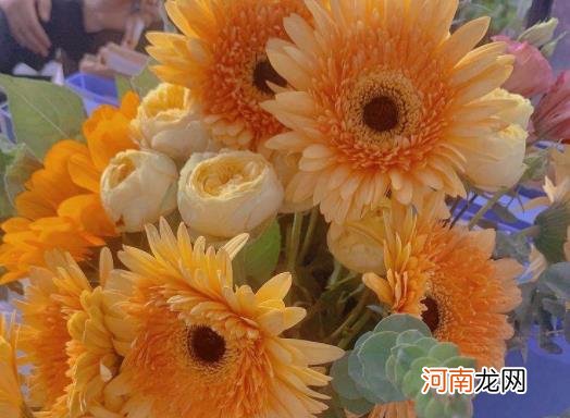 醒花放了保鲜剂怎么办？醒花时花头要泡水里吗