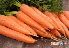用胡萝卜做肥料要发酵吗？胡萝卜冬天可以种植吗