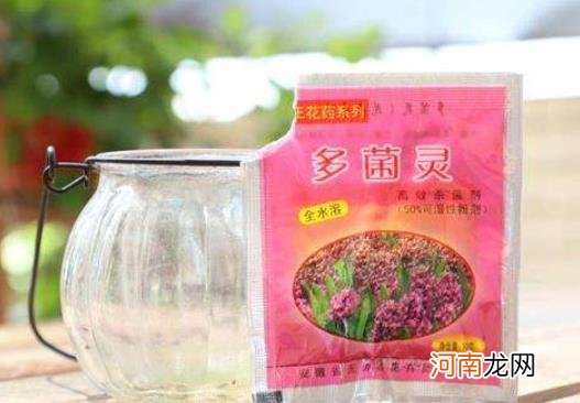 多菌灵兑水放多了怎么办？使用多菌灵哪些是要注意的