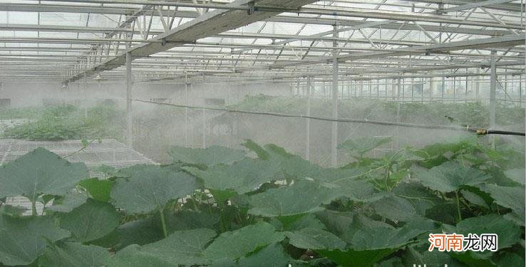 重庆种植大棚喷雾加湿系统的简单介绍
