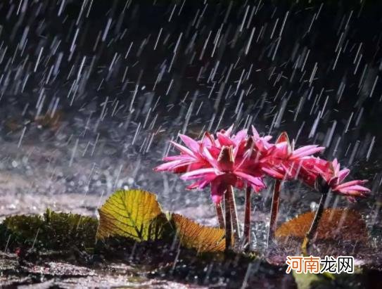 梅雨季节家里反湿怎么办？梅雨季节为什么湿衣物不容易晾干