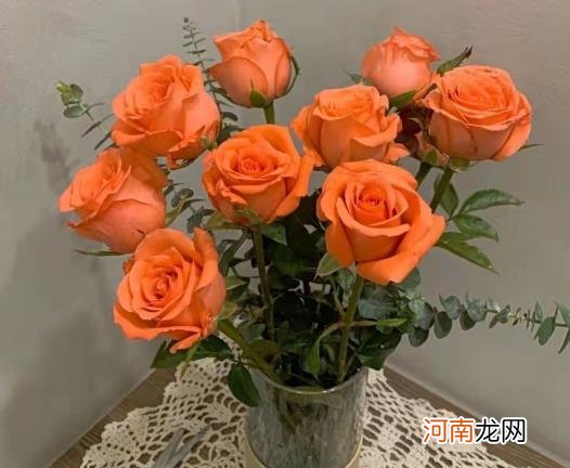 网购鲜花醒花必须用干净的水吗？醒花的时候用不用把叶子去了