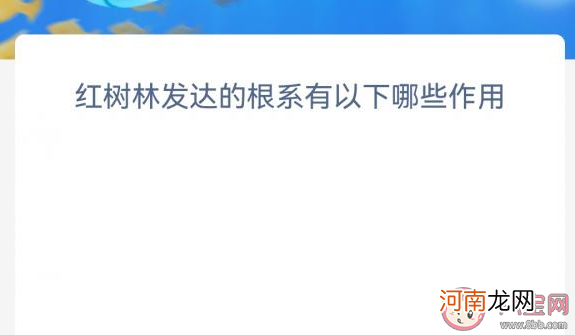 红树林发达的根系|红树林发达的根系有以下哪些作用 神奇海洋11月14日答案介绍