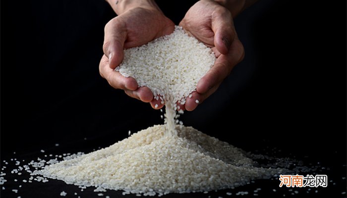 大米怎么样储存不生虫 大米怎么储存不易生虫